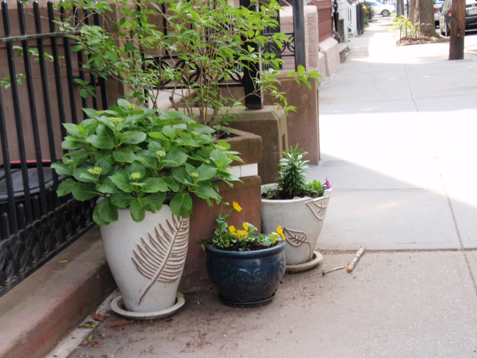Planters on Sidewalk Downtown